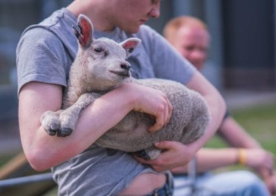 Jongeman zit op een bankje met een lammetje op zijn schoot